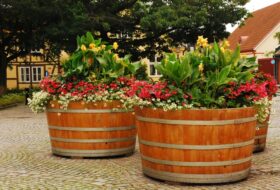 Podróże ogrodnicze: Ystad – portowe miasto całe w kwiatach