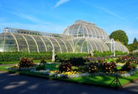 Kew Gardens – ogród botaniczny w Londynie