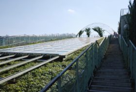 Ogrody Biblioteki Uniwersytetu Warszawskiego