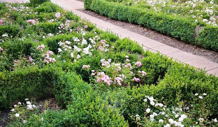 Ogrody pokazowe Markiewicz – Pierwsze prace ziemne.