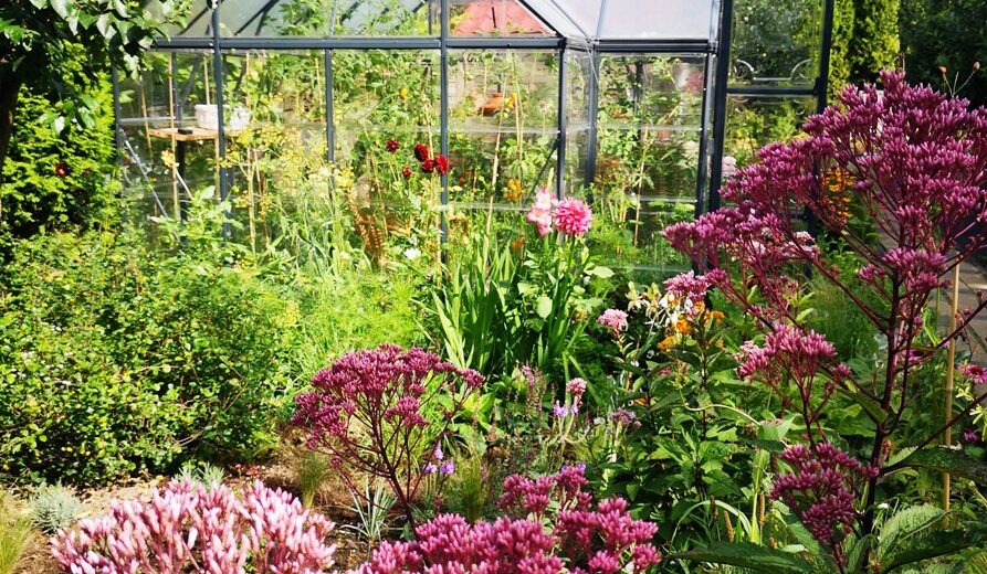 Przygotowanie ogrodu do nowego sezonu