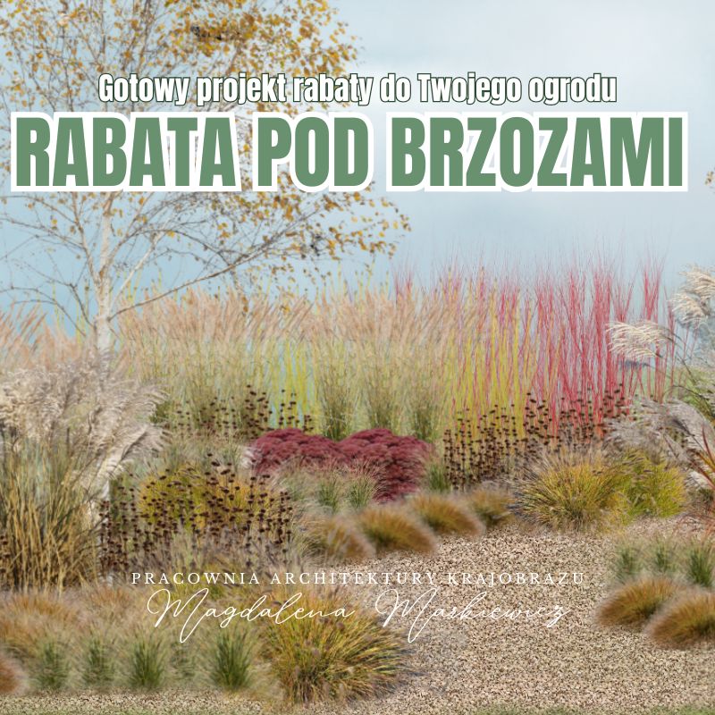 rabata naturalistyczna (4) rabata