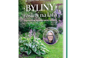 Byliny – rośliny na lata. Zaprojektuj wymarzoną rabatę.