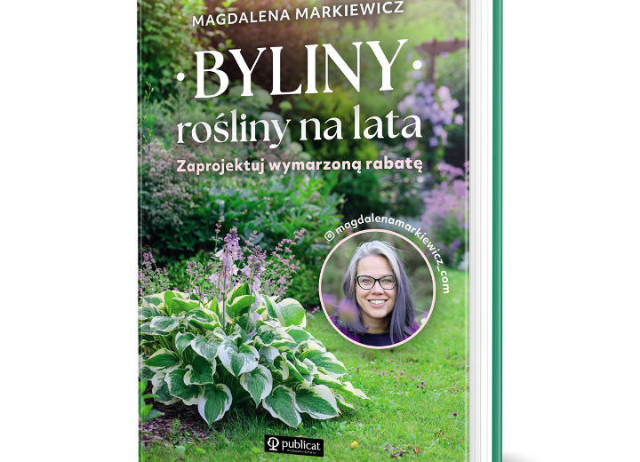 Byliny – rośliny na lata. Zaprojektuj wymarzoną rabatę.