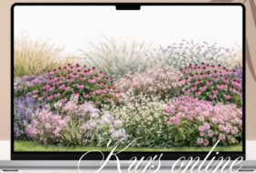 Jak zaprojektować rabatę w ogrodzie, która będzie harmonijna przez cały sezon?