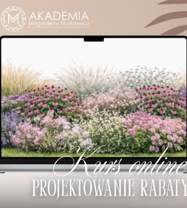 Projektowanie rabaty bylinowej krok po kroku