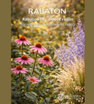 RABATON 2 – Dobór roślin