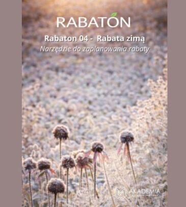 RABATON 4 – Rabata zimą