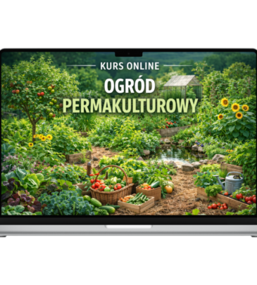 Ogród permakulturowy