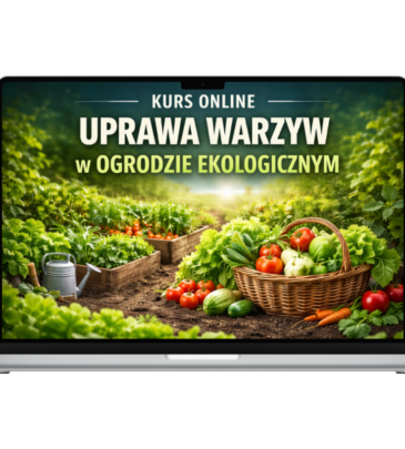 Uprawa warzyw w ogrodzie ekologicznym