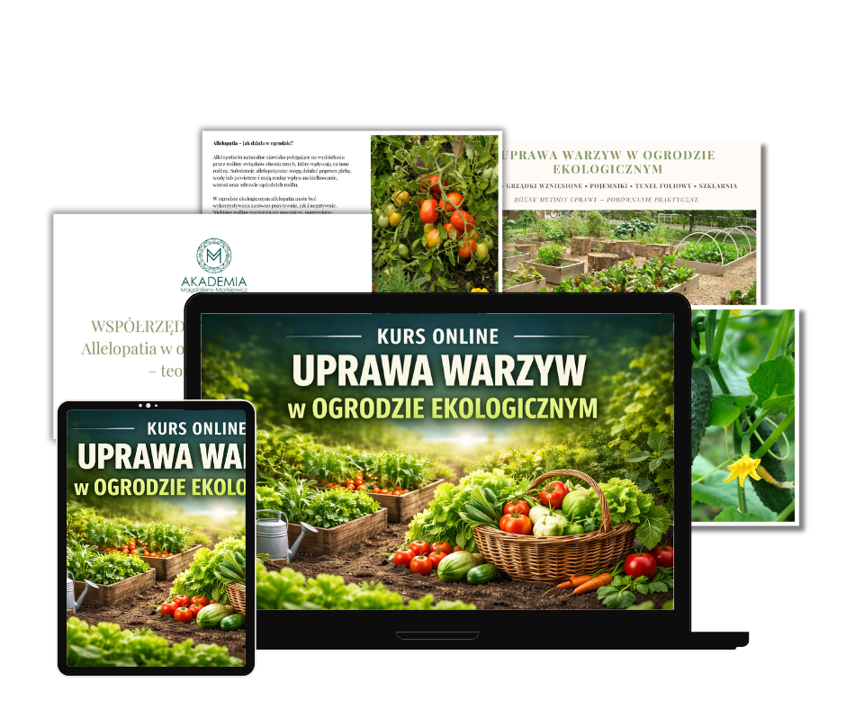 Kurs ogród warzywny kurs