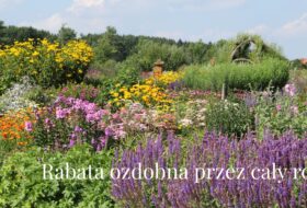 Jak zaprojektować rabatę, która będzie atrakcyjna przez cały rok?