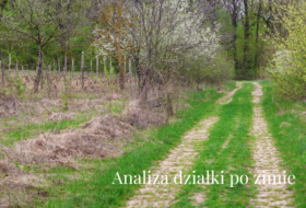 Zacznij od patrzenia na ogród