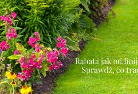 Rabata jak od linijki? Sprawdź, co tracisz