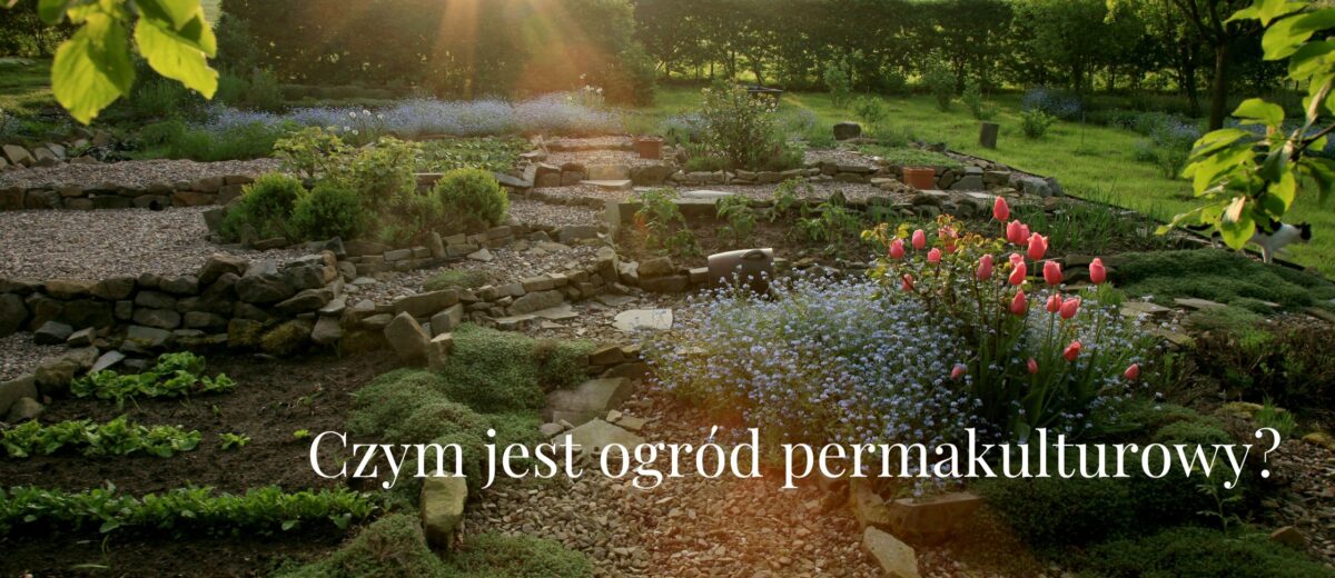 Czym jest ogród permakulturowy?