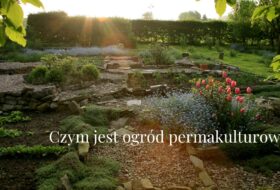 Czym jest ogród permakulturowy?