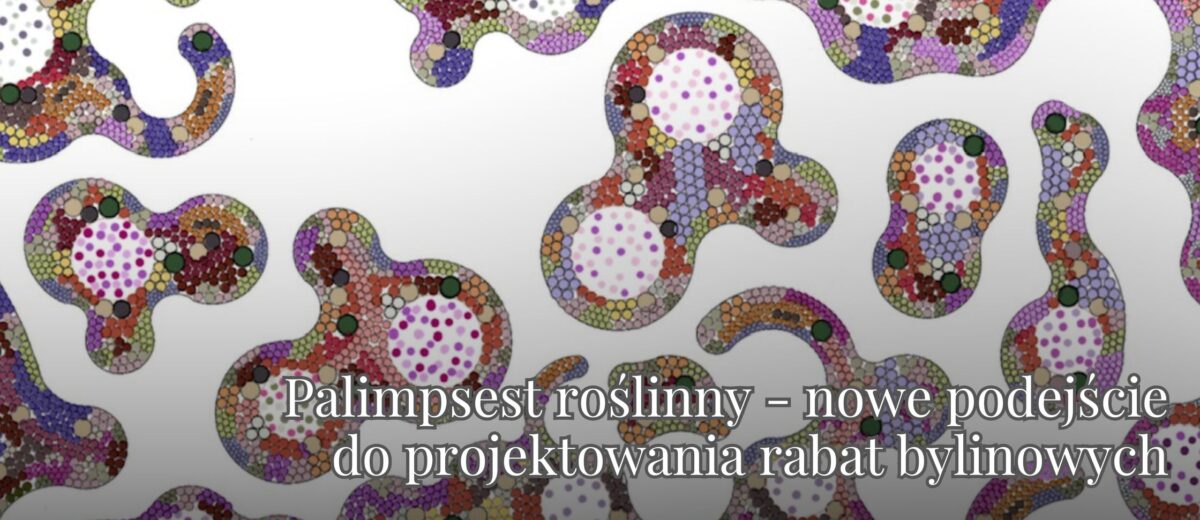 Palimpsest roślinny – nowe podejście do projektowania rabat bylinowych