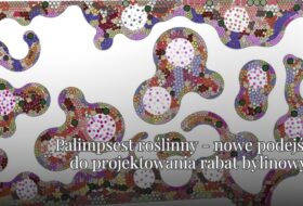 Palimpsest roślinny – nowe podejście do projektowania rabat bylinowych